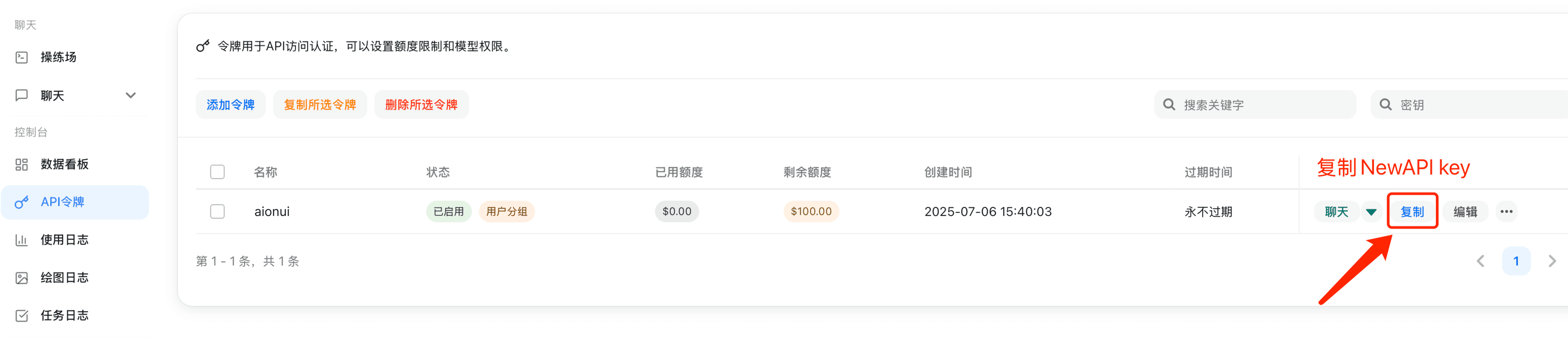 复制 API 密钥